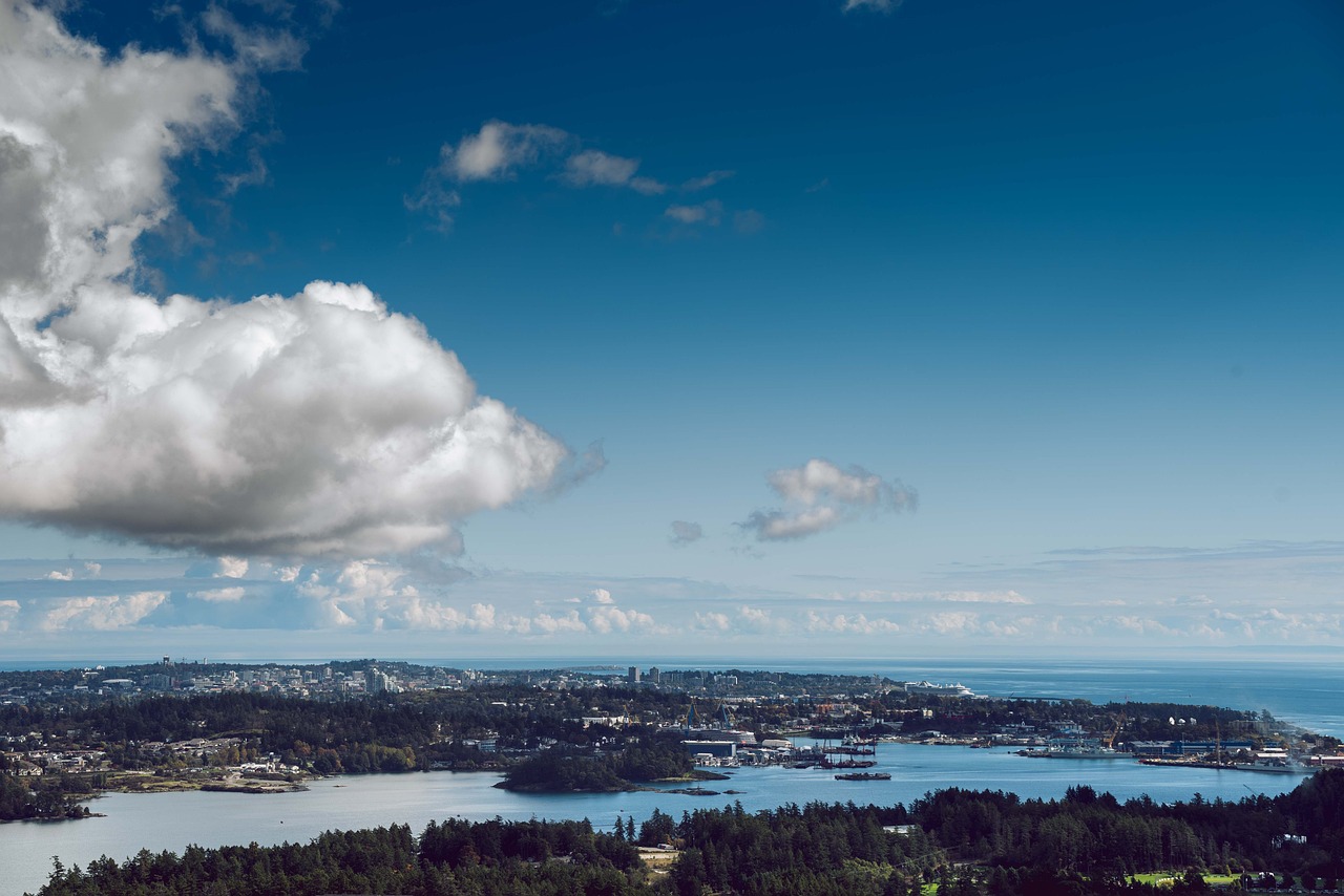 Harnessing Big Data for Military Resource Allocation